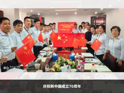 黨支部活動(dòng)-換屆選舉、慶祝新中國70周年系列活動(dòng)